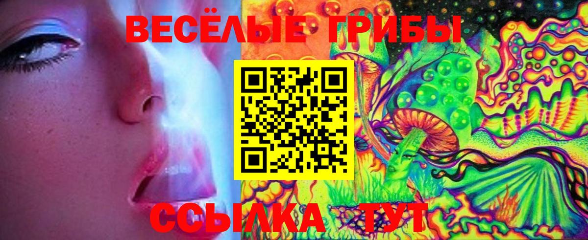 Людиново  Галлюциногенные грибы Magic Shrooms  Вход с VPN 