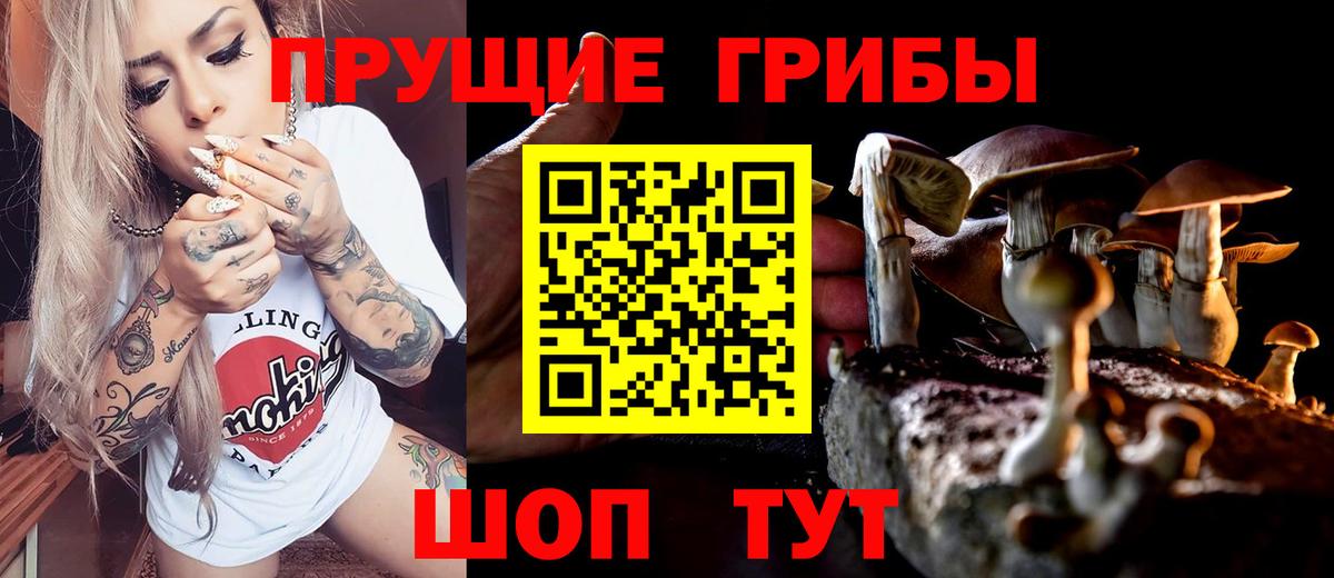 Псилоцибиновые грибы мицелий Людиново